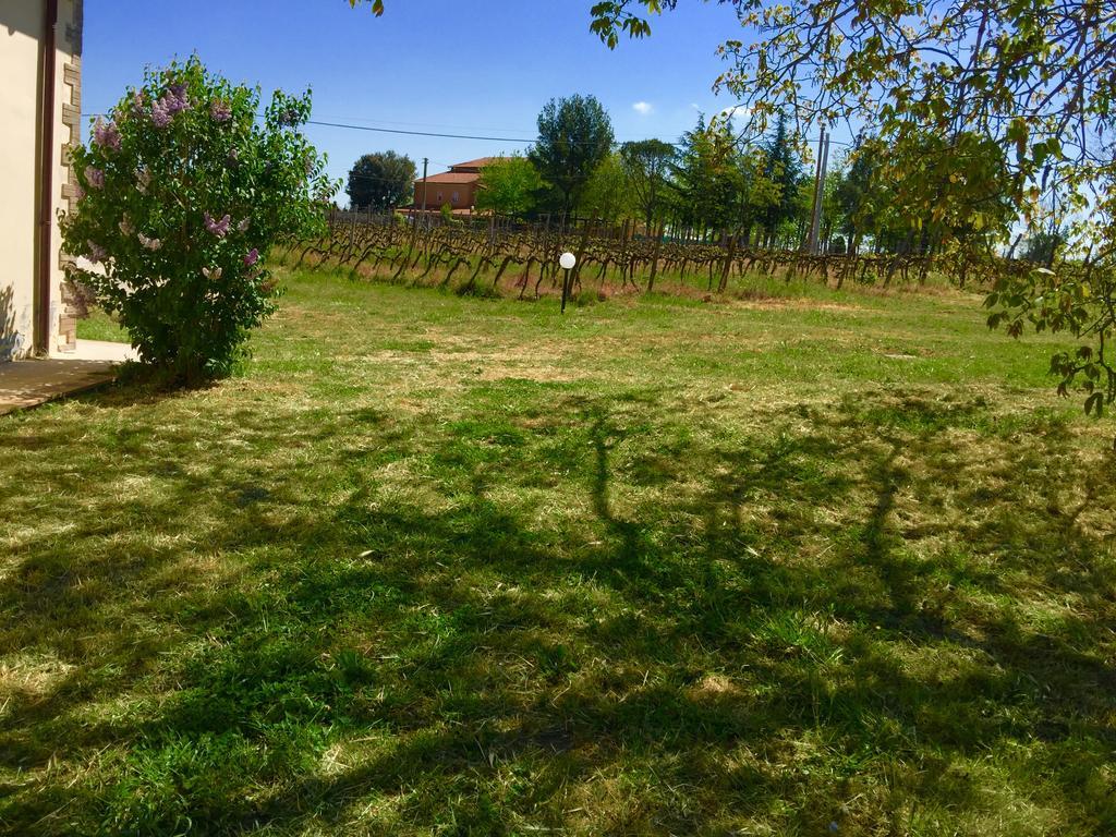 Country House Maremma Nel Tufo Pitigliano Exteriör bild