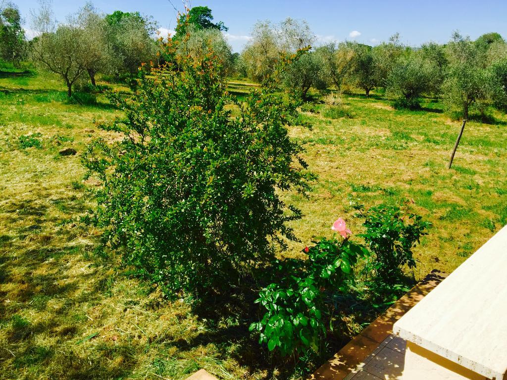 Country House Maremma Nel Tufo Pitigliano Exteriör bild