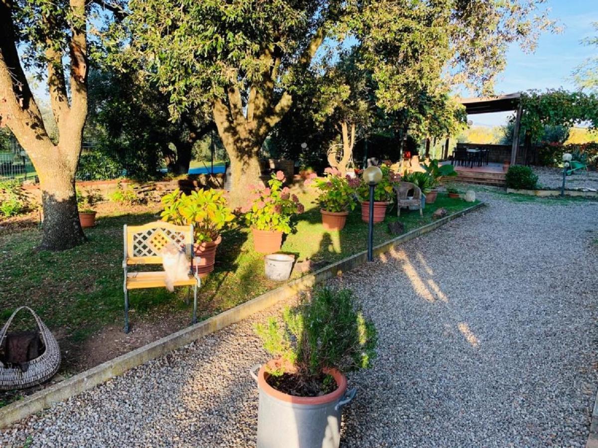 Country House Maremma Nel Tufo Pitigliano Exteriör bild